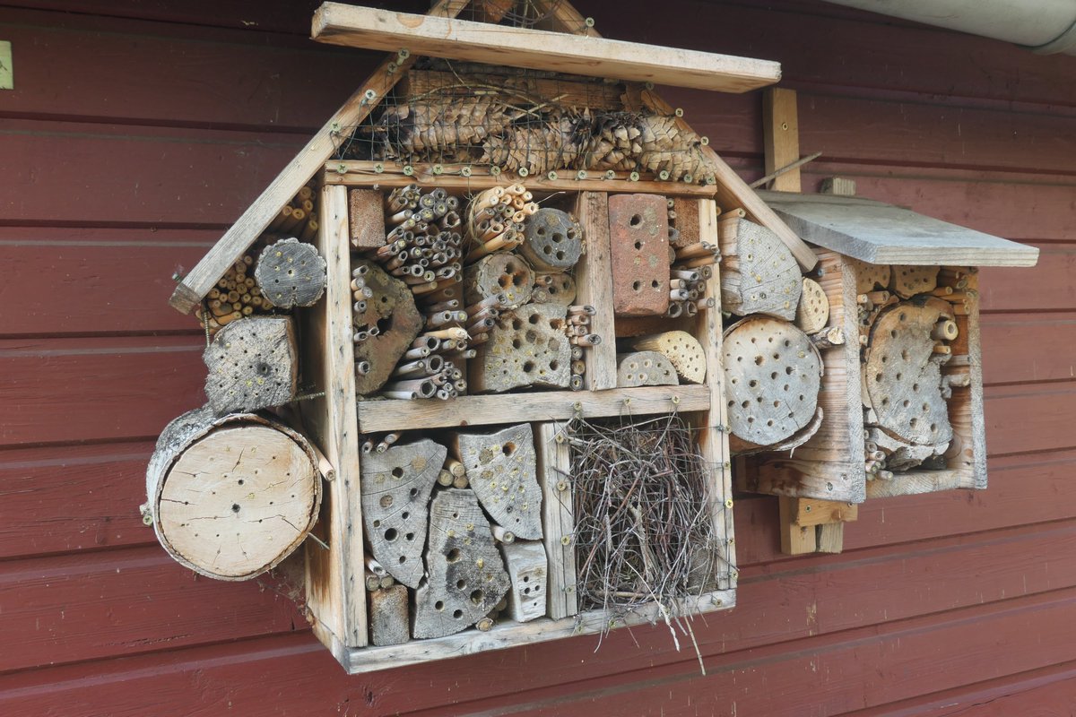 Baeche_Fluesse's tweet photo. #Göttingen 
Insektenhotel - Hauptgebäude und Nebengebäude. https://t.co/y4E8wczfdL