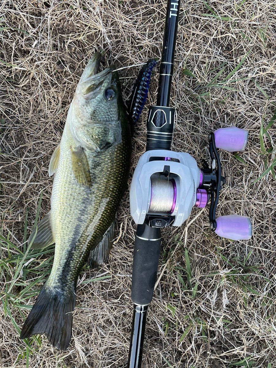 I might buy another one just to put it in a diamond crested case <a href="/13fishing/">13fishing</a>