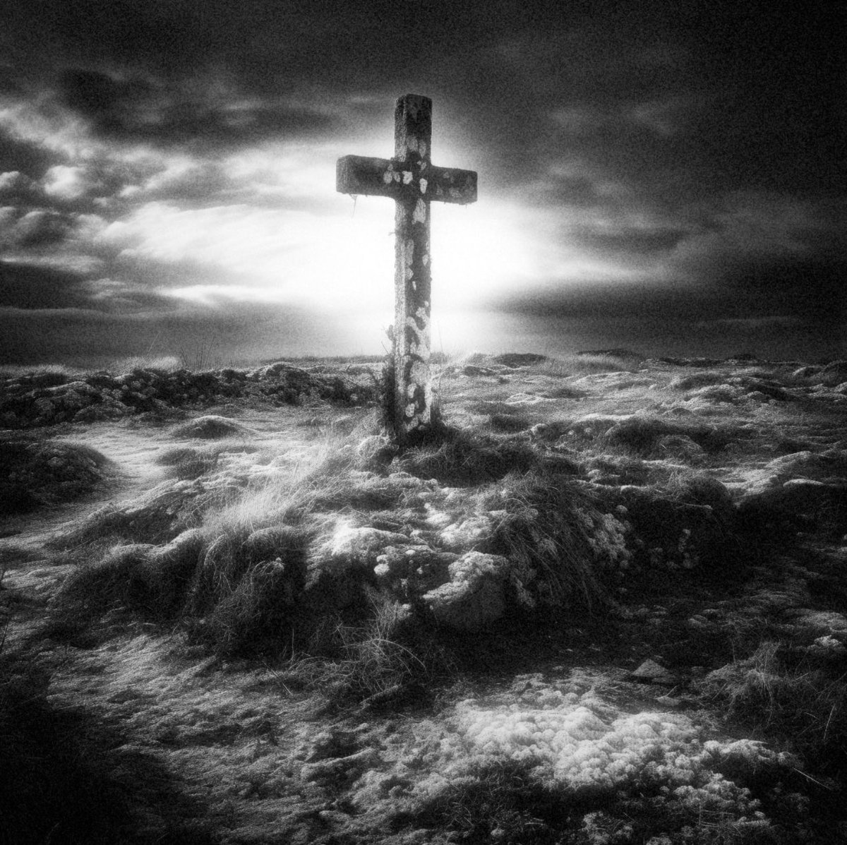 ForeverDarkVoid's tweet photo. viewfromgrave: Timeless Icon
+
Fine Art Prints available: https://t.co/ThzfUtWg1R
+
#cross #icon #death #nature #bnw #photo #infraredblackandwhite #bnwphoto #infrared #blacknwhite #bnwmood #bnwphotography #blackandwhitephotography #photooftheday #greats… https://t.co/YpbPEM7iSF
