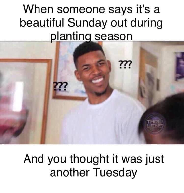 David Bjelke (@radivojdavid) on Twitter photo 