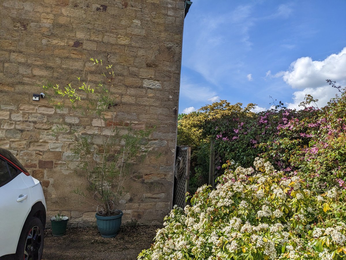 ClaireHawley2's tweet photo. Amazing day in the garden. Simple pleasures 😊 https://t.co/LeRyJqeeHl