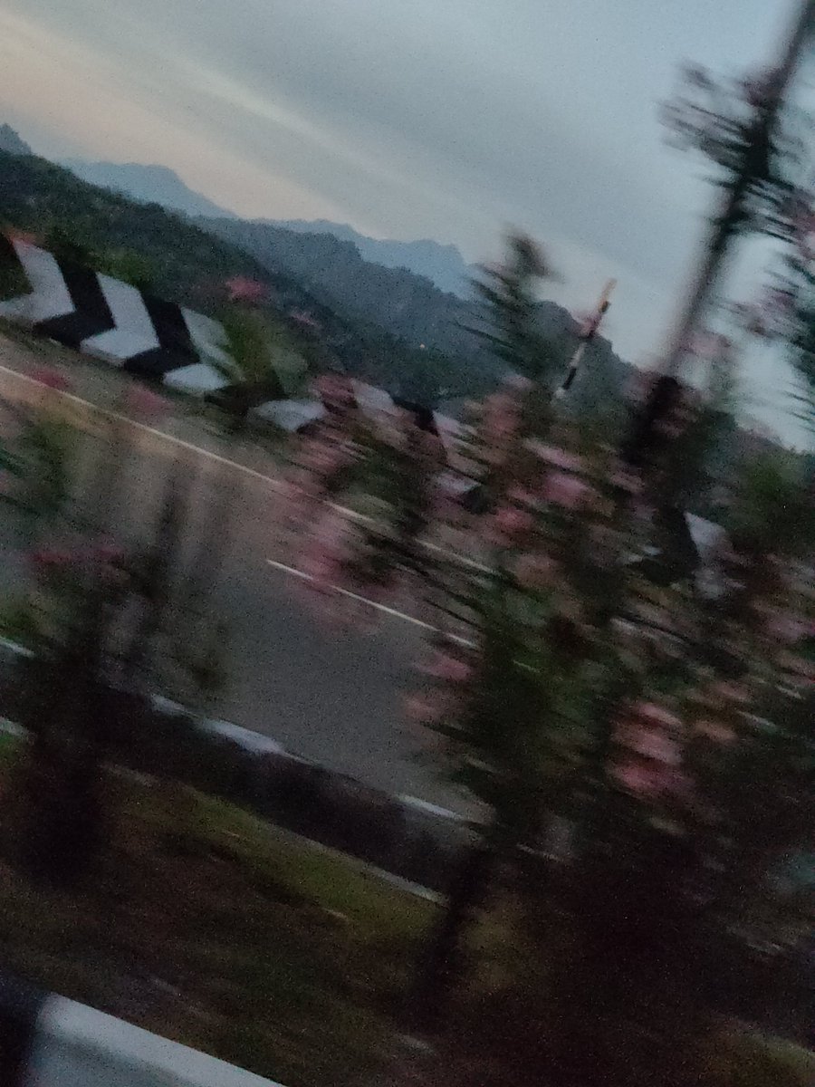 wannabeyourz_'s tweet photo. day 69:
life mei kitna bhi try Karo kch na kch toh chutega hi!! isiliye yahin, isi pal ka mazaa lete hein! 🌻
#100happydays #YJHD https://t.co/X4xqOib81W