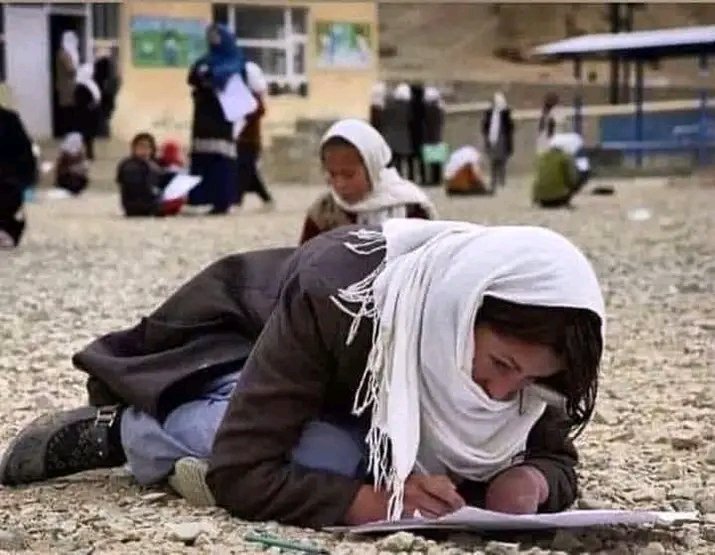 چقس قانون دنیا تلخ و زشته 
کسی که آدمه دور از بهشته
پسر شد کارگر، دختر قرنتین‌ 
رمه کوچی ده قاد باغ وکشته

مصطفی لومو