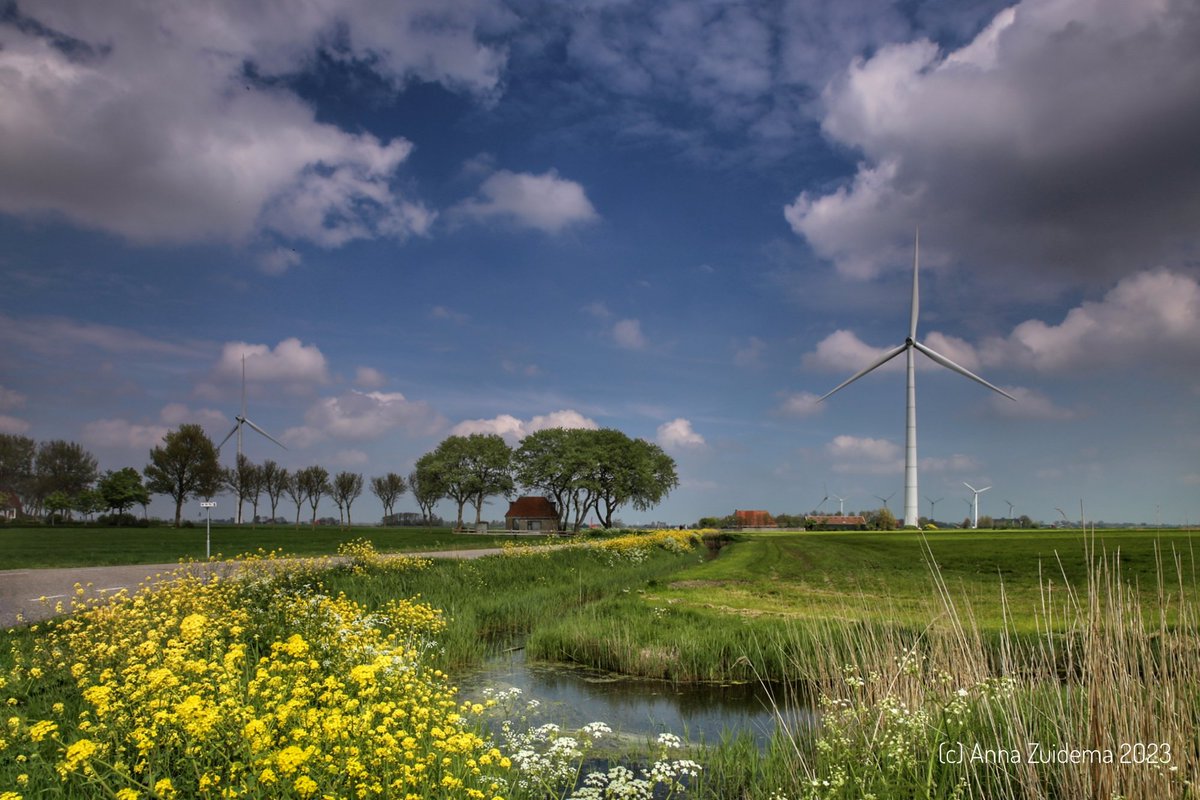AnnaZuidema's tweet photo. De natuur is ontploft!! #Cornwerd #lente #bloemen #kleuren @BuienRadarNL @Talpaweer #weerfotografie #weerfoto @Weerplaza @NOS #frieselandschap #friesland #fryslân @OmropFryslan @lc_nl #stapelwolken #zon 🌤 https://t.co/pJDGCLIsUi