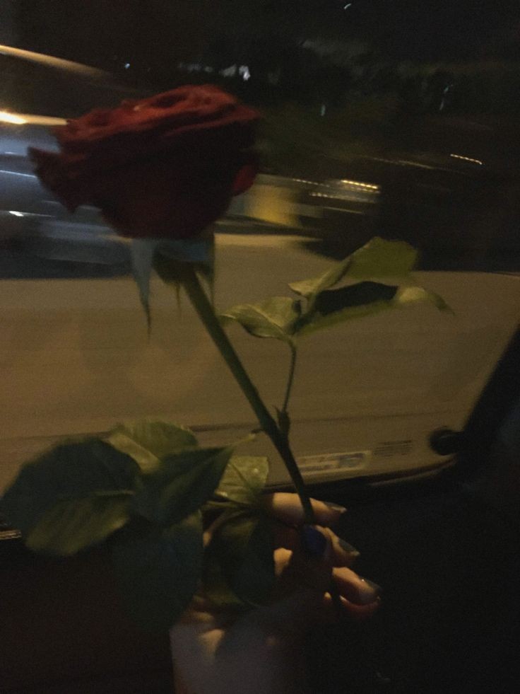 YOUR TEAM :3 tweet media