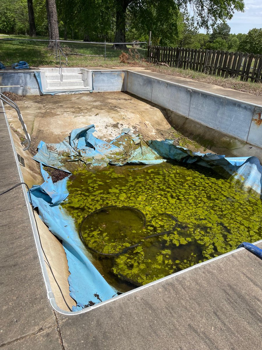 TaraPoolLife's tweet photo. Check out this insane before and after from Crystal Clear Pools in Conway, AR! They transformed this grungy pool into something ✨Enchanted✨! Great job, and thanks for sharing your work with us! 😍

#enchanted #tarapools #beforeandafter https://t.co/qJcTr8VlXI