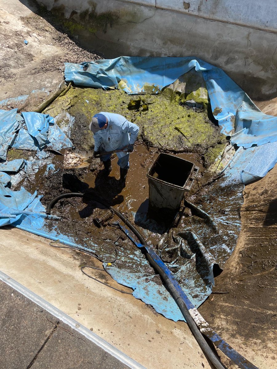 TaraPoolLife's tweet photo. Check out this insane before and after from Crystal Clear Pools in Conway, AR! They transformed this grungy pool into something ✨Enchanted✨! Great job, and thanks for sharing your work with us! 😍

#enchanted #tarapools #beforeandafter https://t.co/qJcTr8VlXI