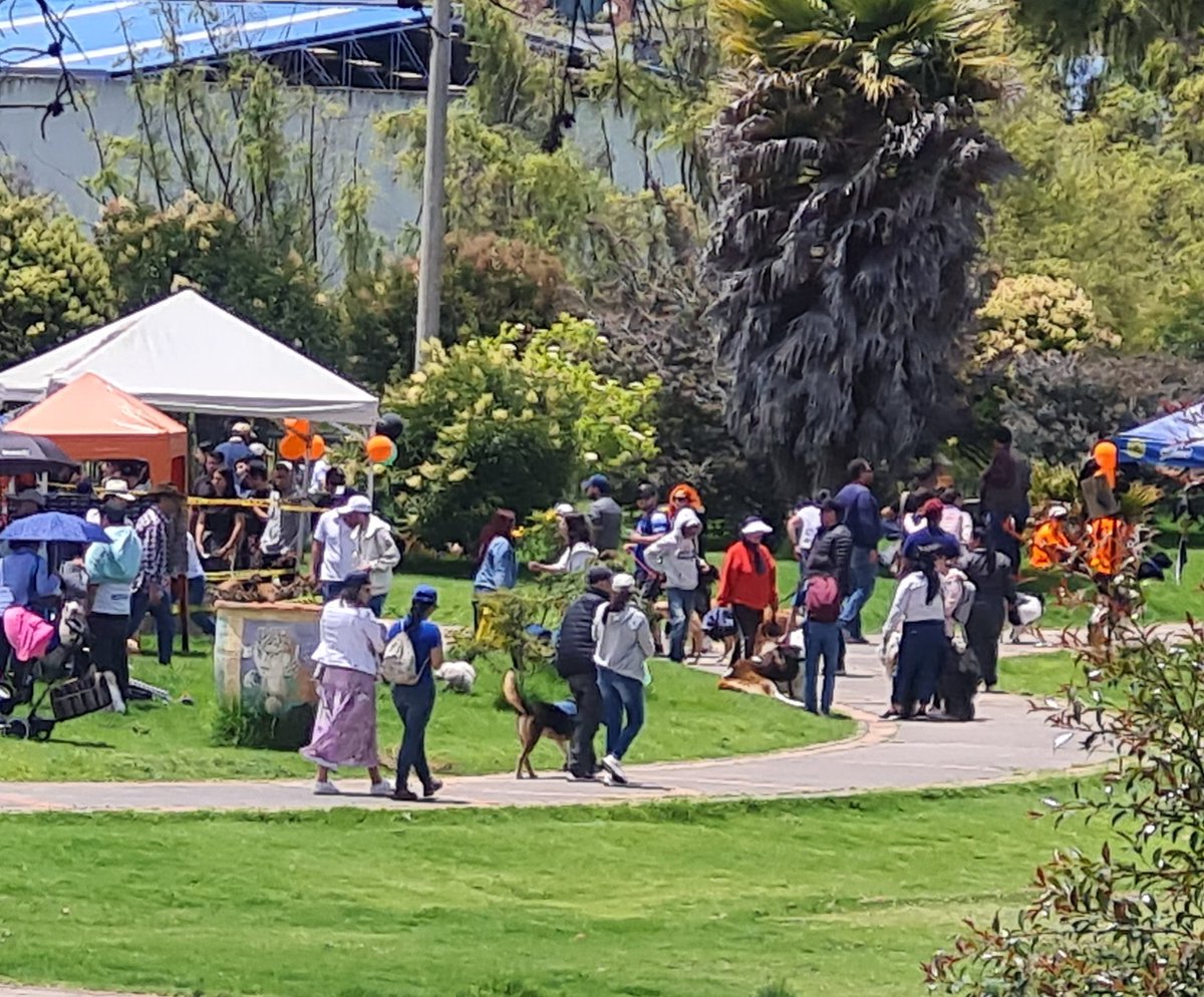POSITIVAFMRADIO's tweet photo. En el parque Recreacional de #Tunja se lleva a cabo el festival #PetRun 

#mascotas #plandomingo #FelizDomingo https://t.co/akMPIg6mLu