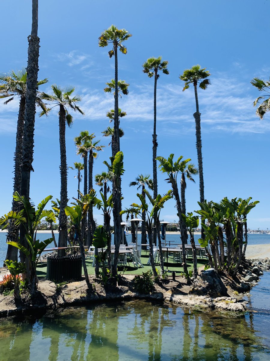 Feng Xiao tweet media