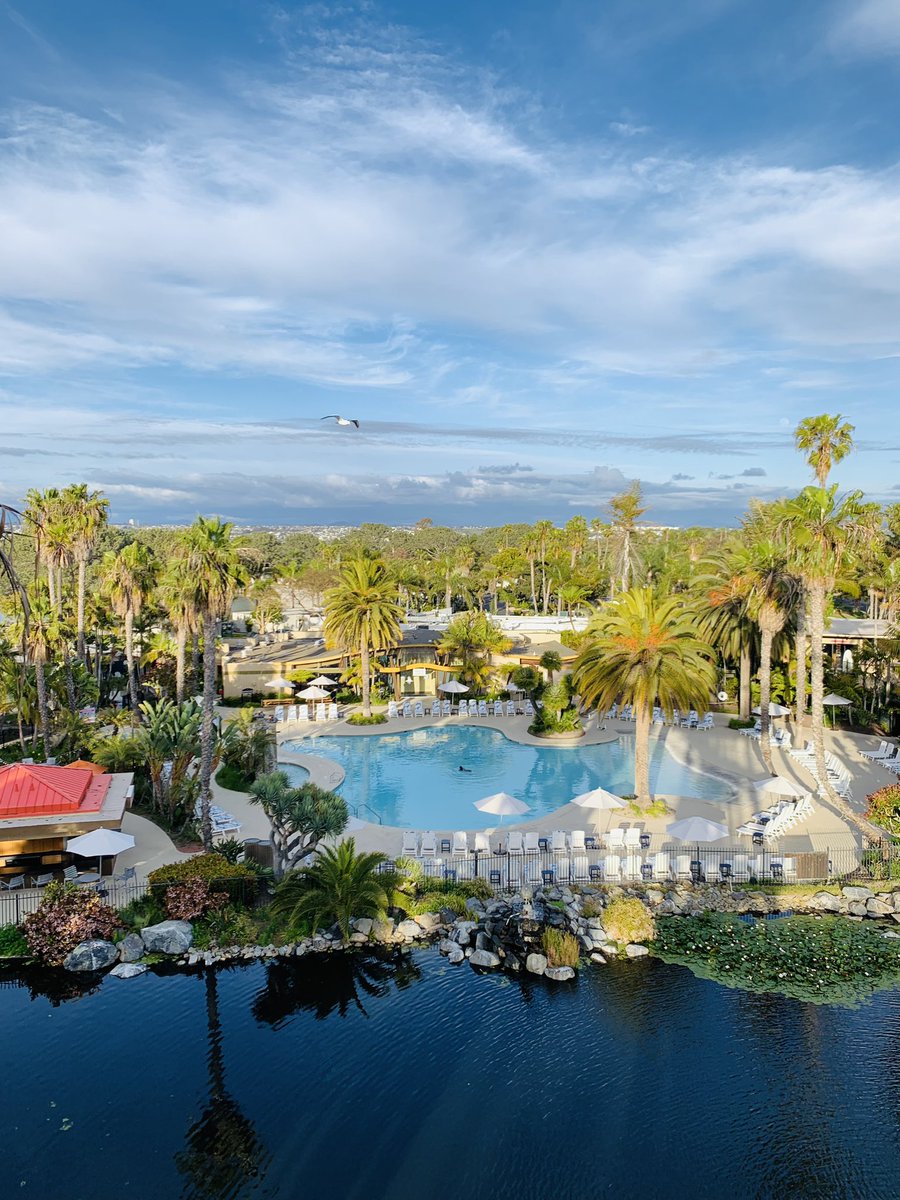 Feng Xiao tweet media