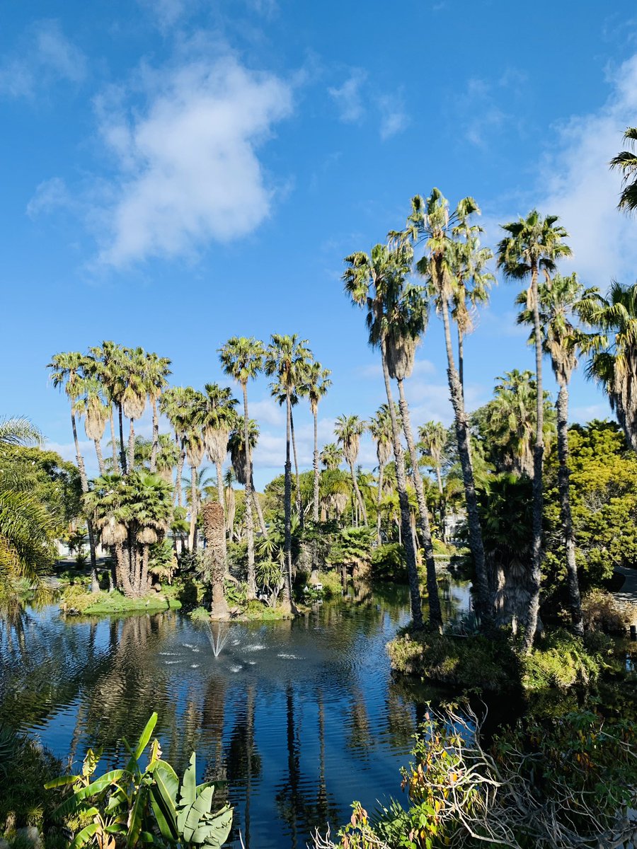 Feng Xiao tweet media