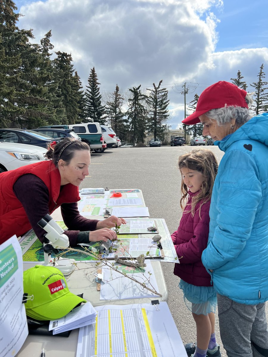 Weaselhead volunteers - take out the trash! 75 volunteers and their ...