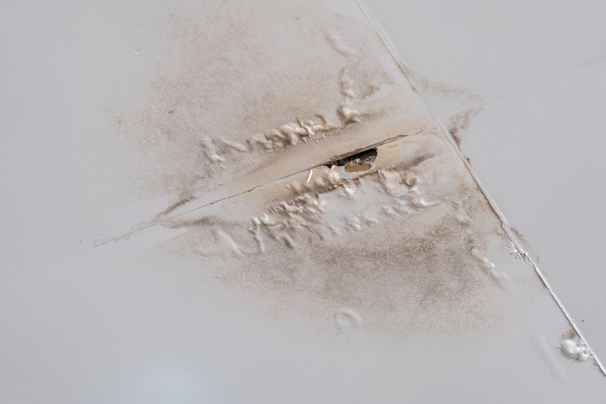 Total Restoration tweet media