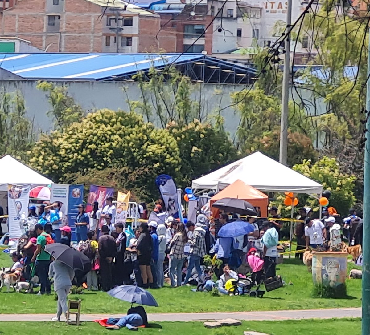 POSITIVAFMRADIO's tweet photo. En el parque Recreacional de #Tunja se lleva a cabo el festival #PetRun 

#mascotas #plandomingo #FelizDomingo https://t.co/akMPIg6mLu