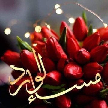 IlVfar's tweet photo. @Nihhanahmed https://t.co/y1gvriIuAO