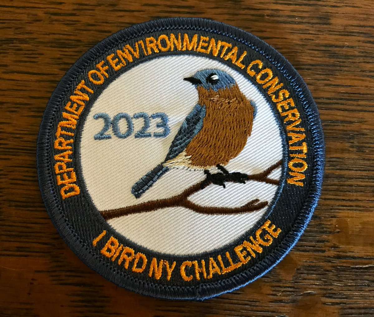 Deanna Conners tweet media