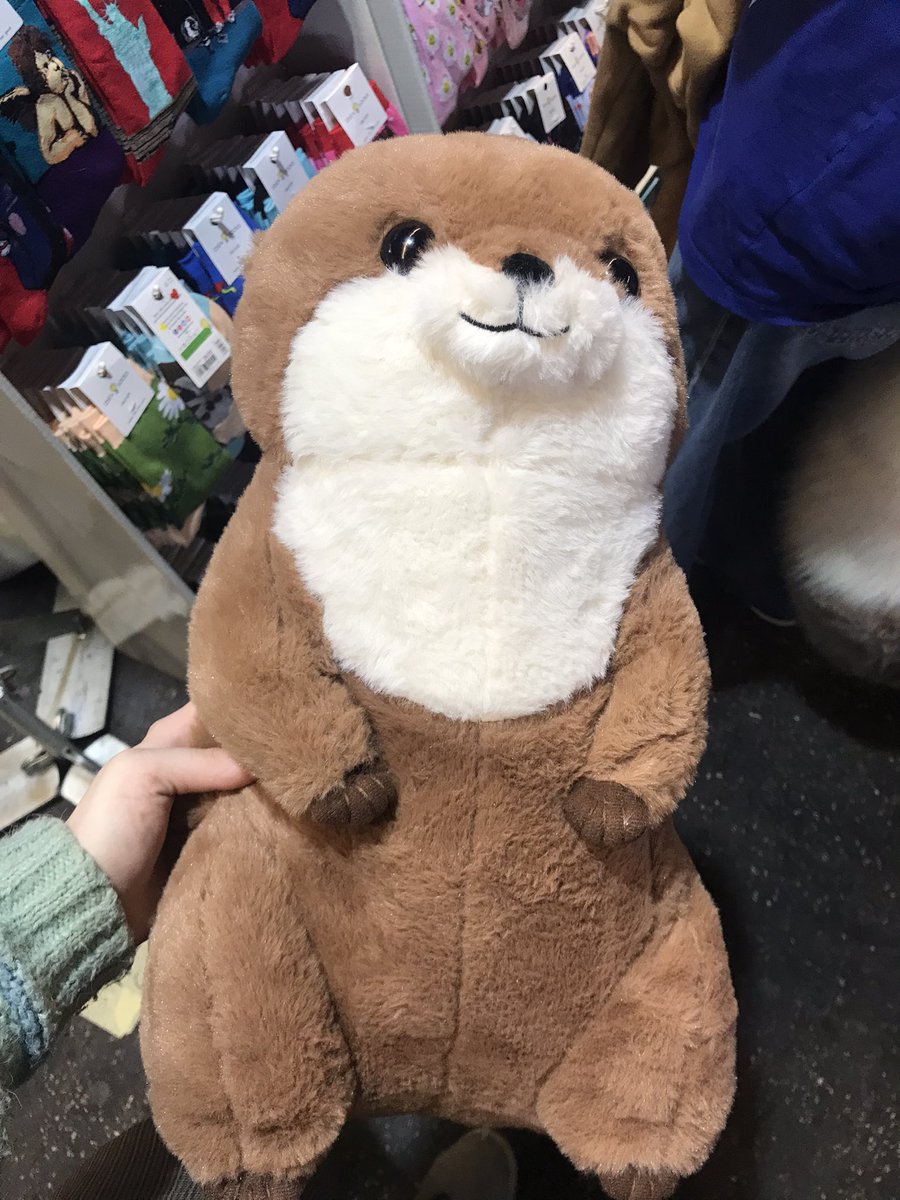 JaneDeFennec's tweet photo. I'm happy with what I bought >w<💓🍄🍄💗🪐☁️✨#memories #Plushies #plush #cute #animefest2023 #vlog https://t.co/EX2U8j5el5
