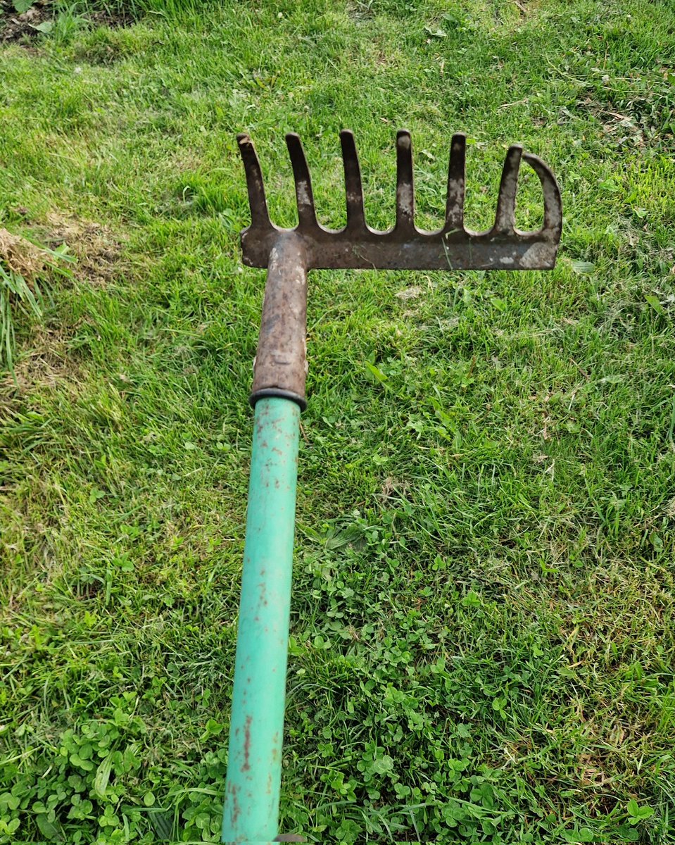 Strangely, my 9 year old, £5.99 half-rake is my absolute favourite allotment tool 😂
#GardeningTwitter