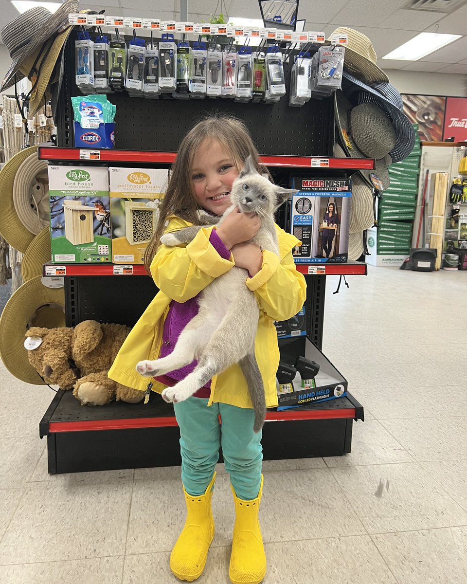 The newest member of our team at our Campbell’s Hardware store in Skowhegan, Maine! #StoreCatSunday