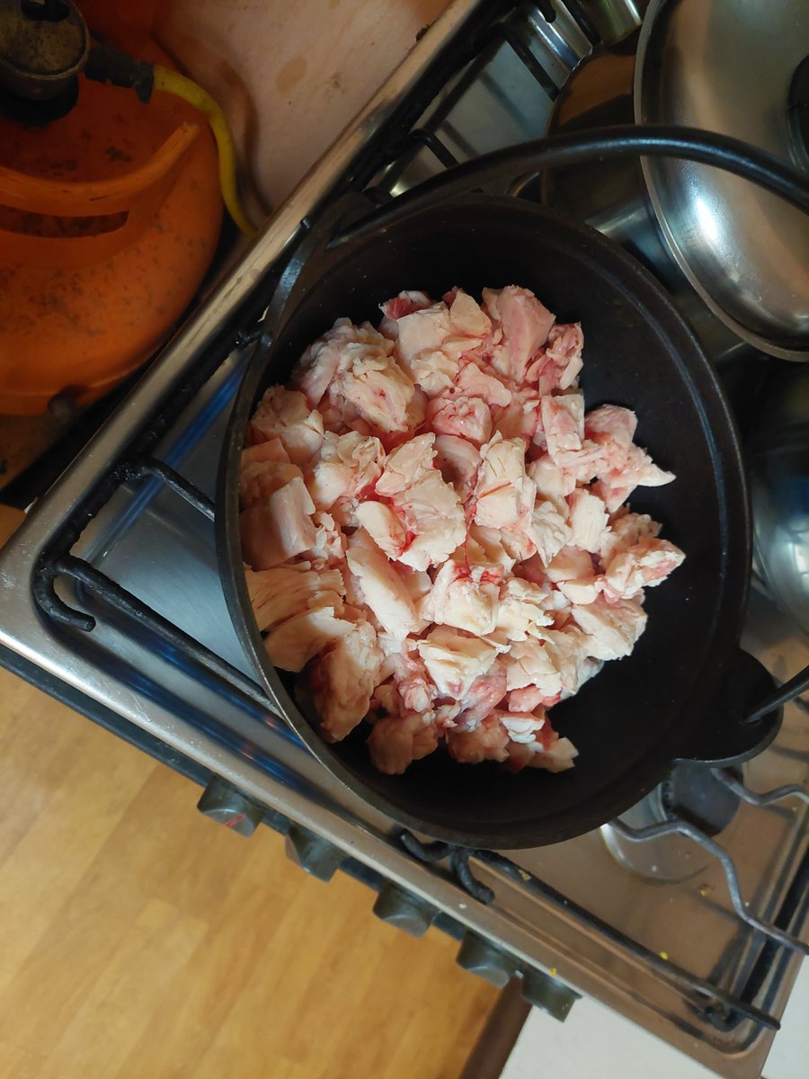 día frío en el sur