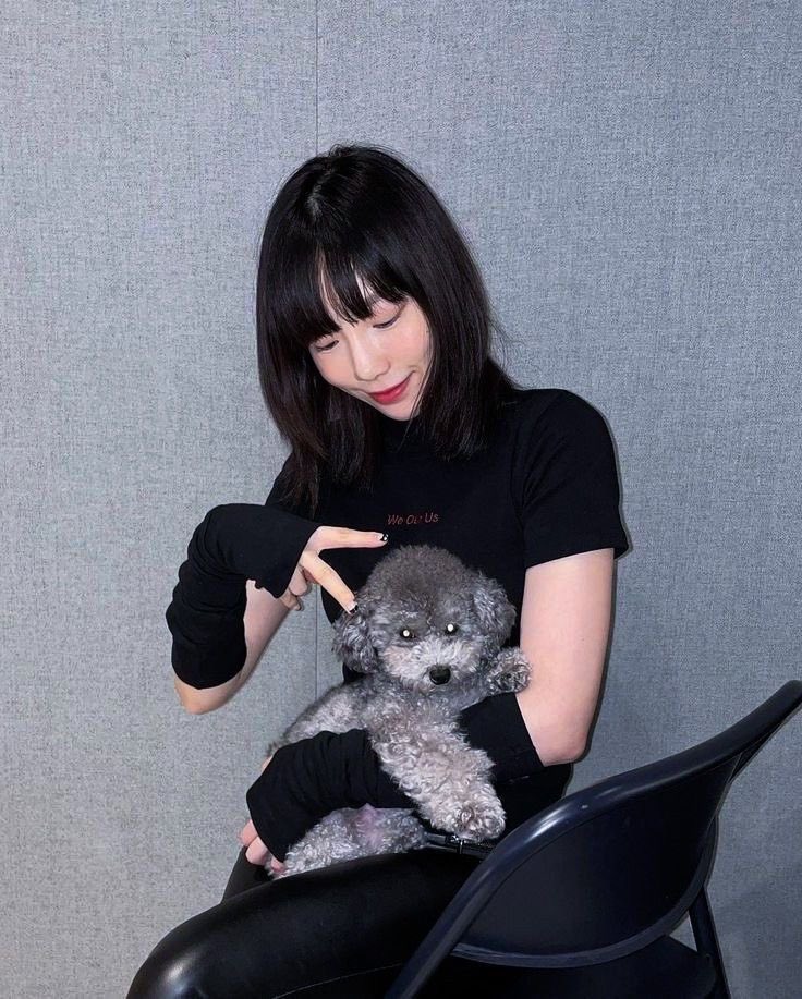 smethystmuses's tweet photo. Puppies and Taeyeon? A good mix.
#MidnightEnt #MidnightLife #MidnightModels https://t.co/dK61NCwi2S
