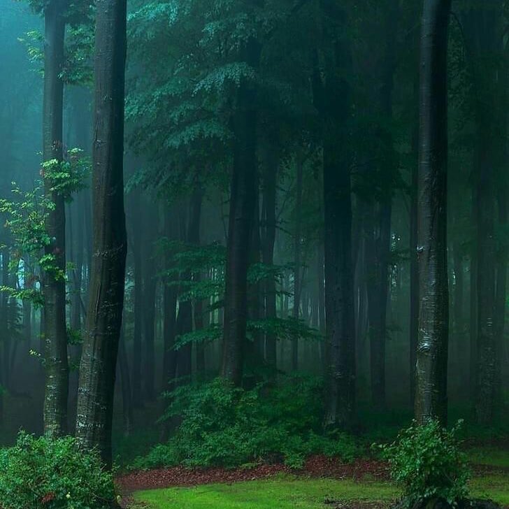 violettweets_'s tweet image. let’s run away.