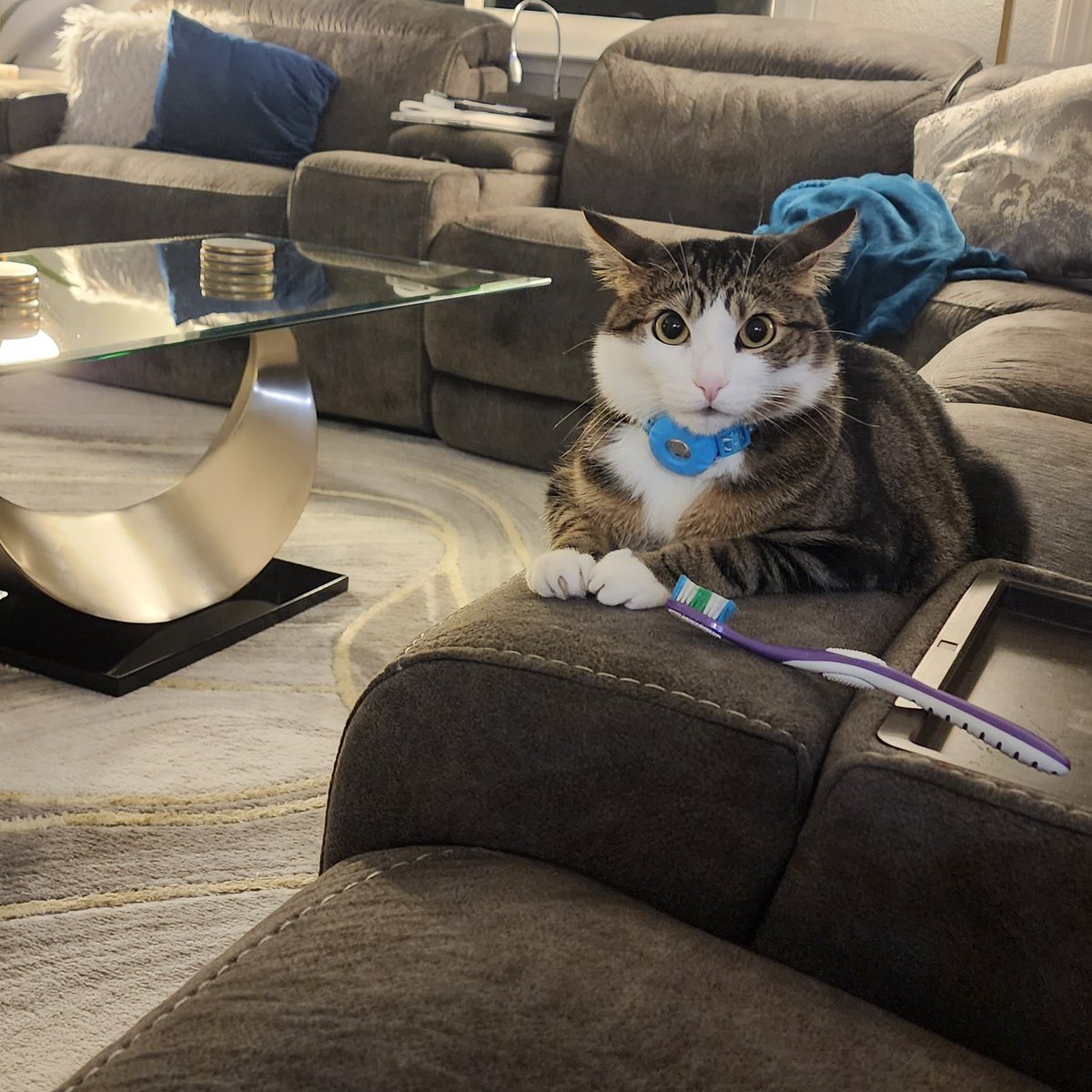 MeowKimchi's tweet photo. @sama I like this plan! https://t.co/hMxfrNnV9d