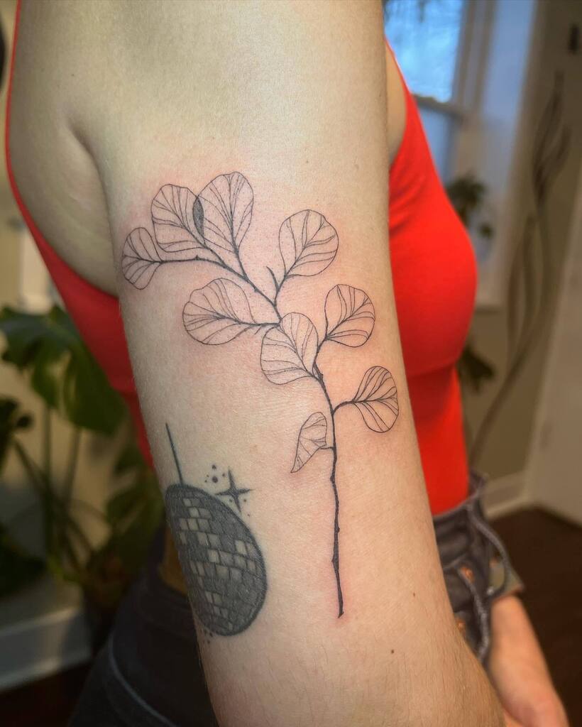 designbysyd's tweet photo. lots of recent nature projects 🌱

1. Flash
2. Custom
3-5. Freehand
6. Flash

#chicagotattooartist #chicagotattoo #chicagoartist #chicagodesignbysyd https://t.co/snLAFHlXol