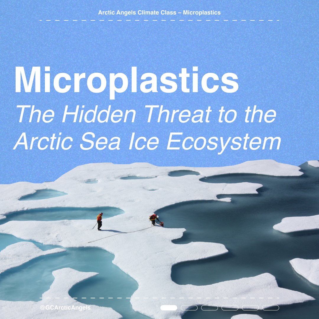 GCArcticAngels's tweet photo. #MICROPLASTICS - The hidden threat to the Arctic Sea Ice ecosystem 🧊
There are high levels of microplastics in the #Arctic.
But how did they get there, and what does it mean for the Arctic #Ecosystem?
Check out our latest #ClimateClass 👇
1/2 https://t.co/caskTKMYec