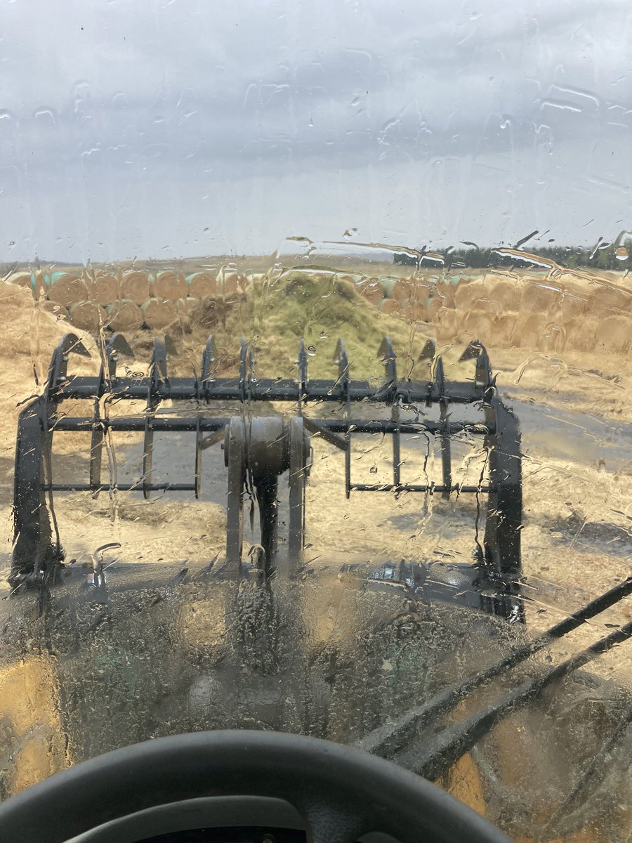 Definitely a different feeling feeding this morning! #rain #spring2023 #sendsometothefiresinAlberta