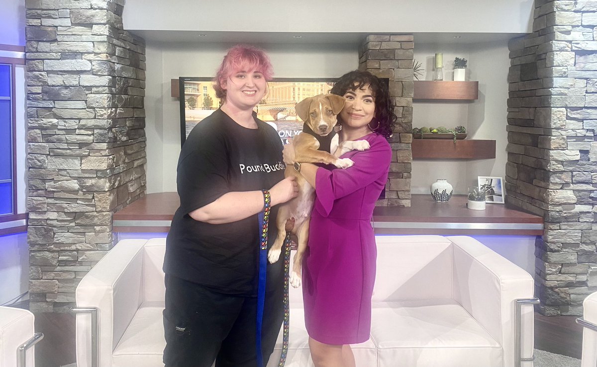 This sweet puppy is available for adoption from Pound Buddies in Muskegon! Help him find a forever home. #adoptapet #13lovespets