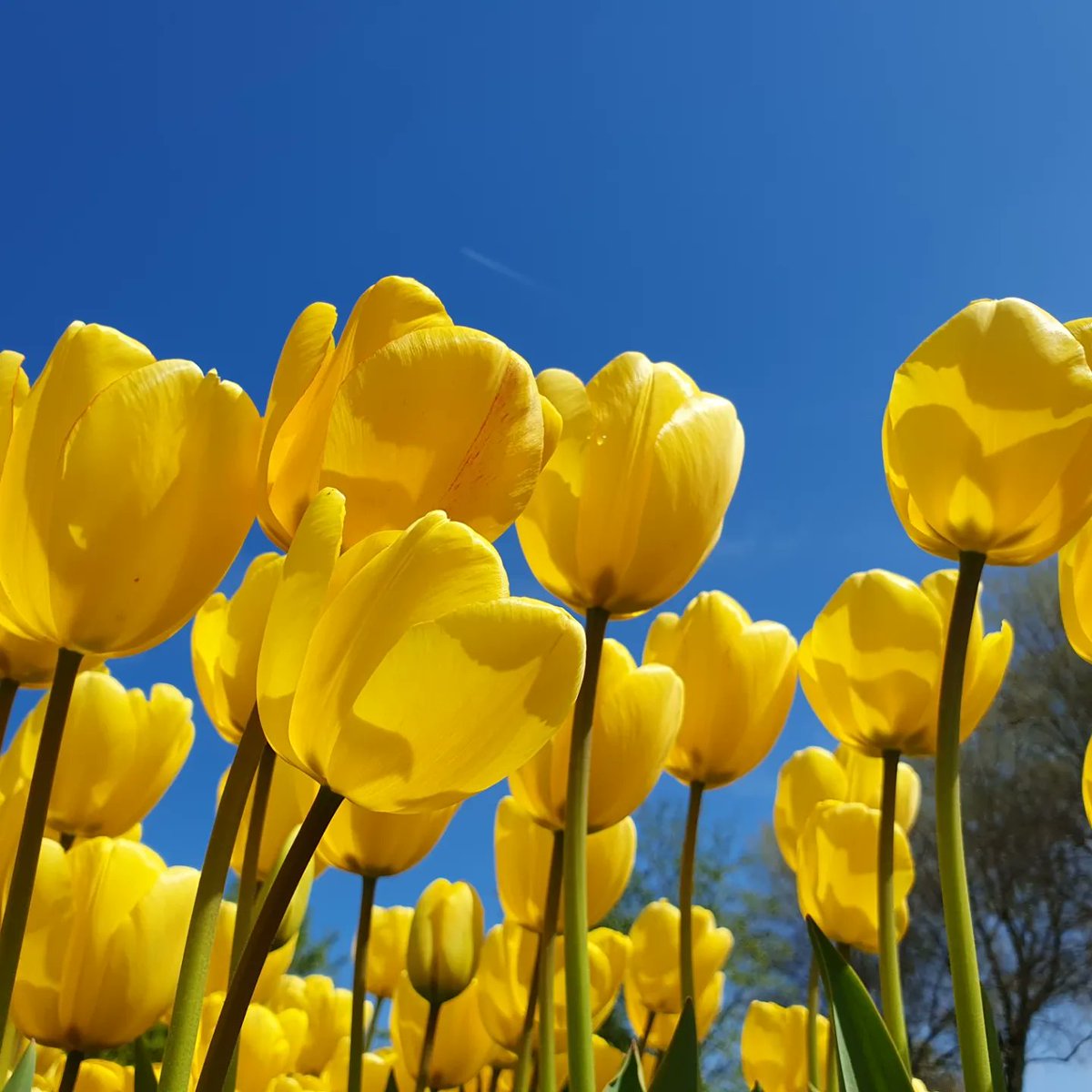 If you know any schools and/or universities writing off their equipment in the end of the school year - let me know! We have an official charity fund where they can donate it to Ukraine. Please, send them my way