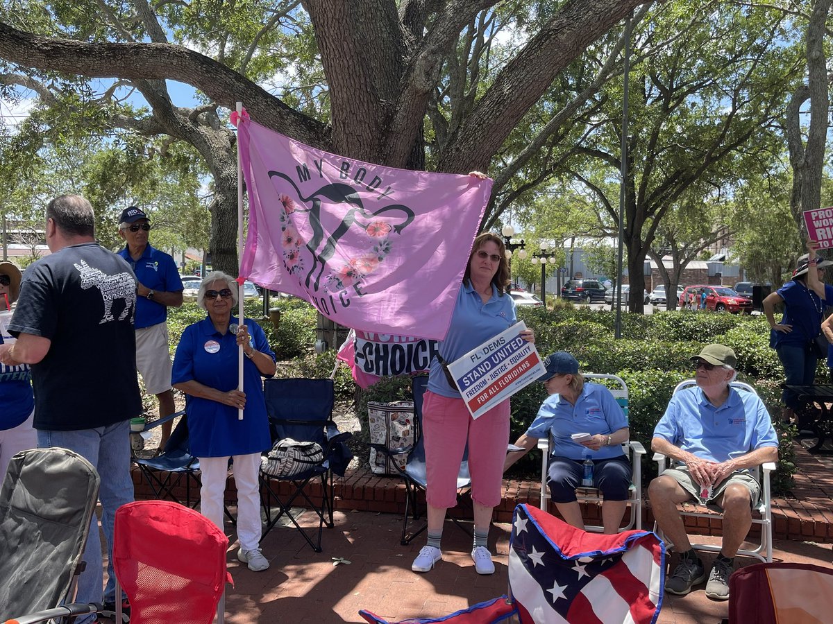 FlaDems's tweet image. Florida Democrats are sending @GovRonDeSantis and Florida Republicans a clear message that we are ready to fight for our rights. We #wontbackdown.  #standunited