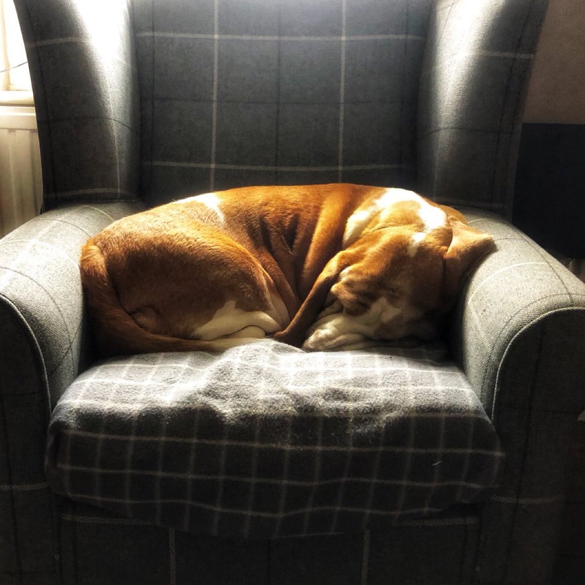 Phil Sledge tweet media