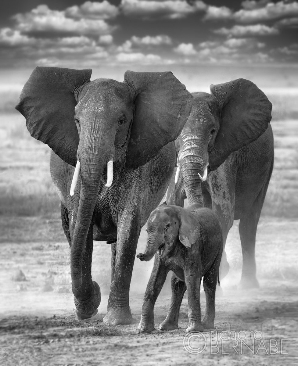 Richard Bernabe tweet media