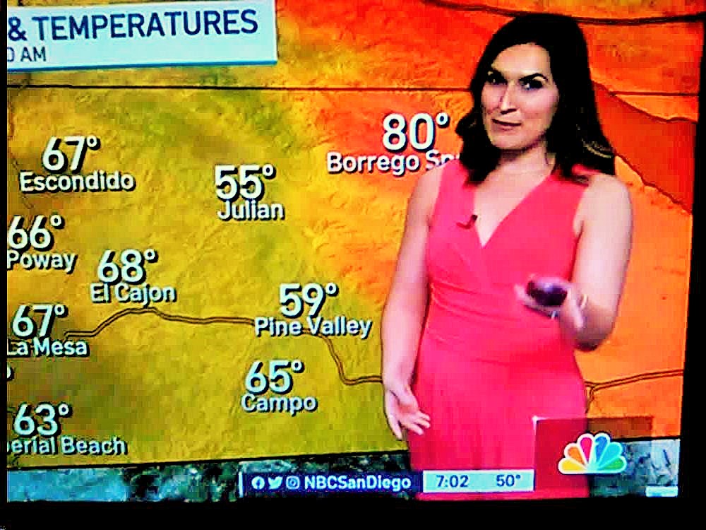 EmilyROReynolds's tweet photo. Very Hot Brooke In Pink &amp; Very Hot Farah In Purple Color Body Dresses Today! Both Anchor Ladies Looking Very Great This Week! @BrookeMartell 💖💖 @FarahJadran 💜💜 https://t.co/3frl0FocZC