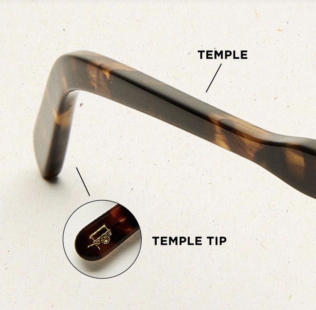 NorthOpticians's tweet photo. An eyewear anatomy lesson 🧑‍🔬!

#northopticians #eyewear #opticians #spectacles #independant #chichester #anatomy #moscot #frame https://t.co/i4IqzLOoZj