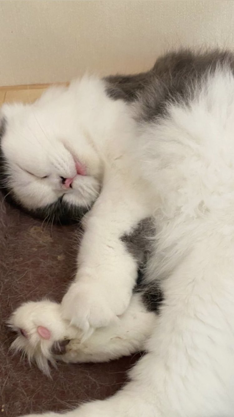 ≛ (northstar_ux) / Twitter