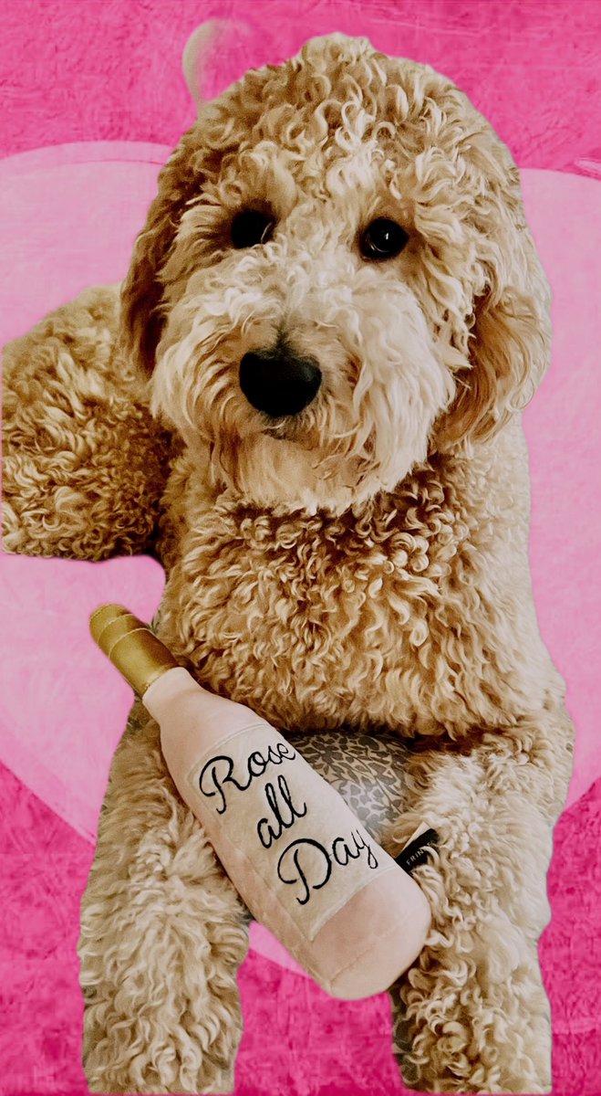 For the past two weekends my people have lived their best Swiftie lives.  All I got was MY ROOMATES CHEAP 🍑SCREW TOP ROSE’. #AtlantaTSTheErasTour #NashvilleTSTheErasTour <a href="/taylornation13/">Taylor Nation</a>