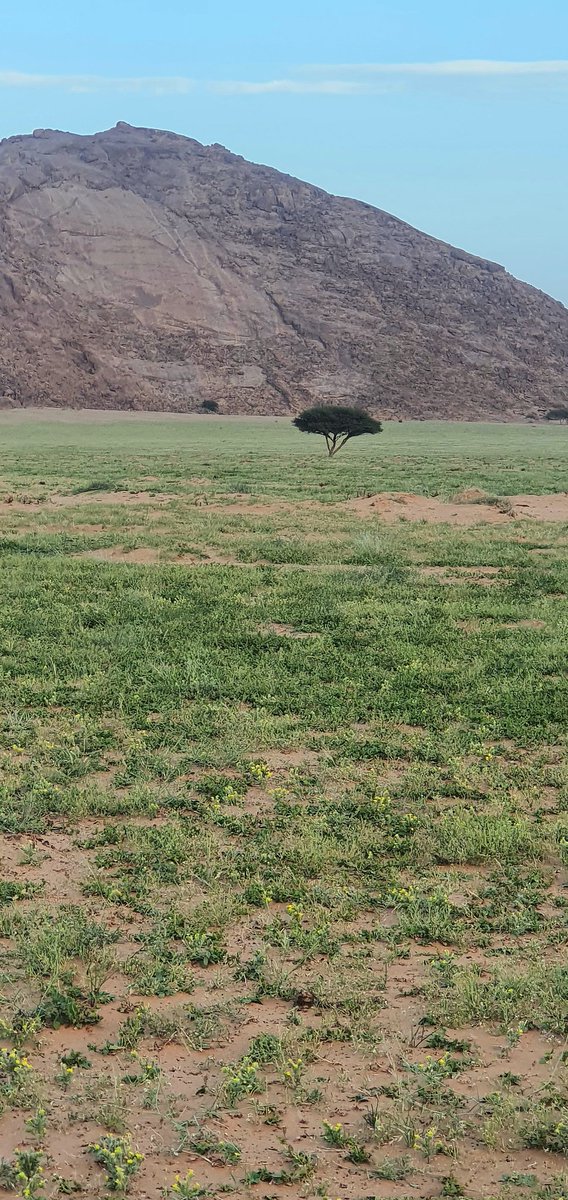 مزيد من اللقطات بعدستي لربيع طخفة وجنوبها
قرب العوشزية - القرارة
غرب محافظة #الدوادمي
جنوب غرب محافظة #الرس
الأحد ١٧ شوال ١٤٤٤ الموافق ٧ مايو ٢٠٢٣