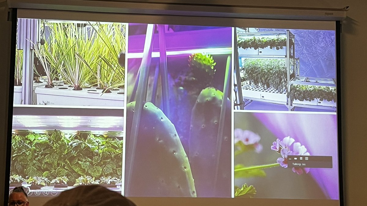 Phnam Bagley tweet media