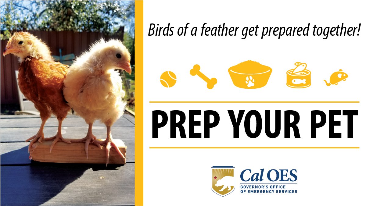 Cal_OES's tweet photo. During #WildfireAwarenessMonth, it's important to plan for all members of your family, including your pets! Tips for getting them ready here: https://t.co/0MpJmdV9TN https://t.co/NCPUwWIkar