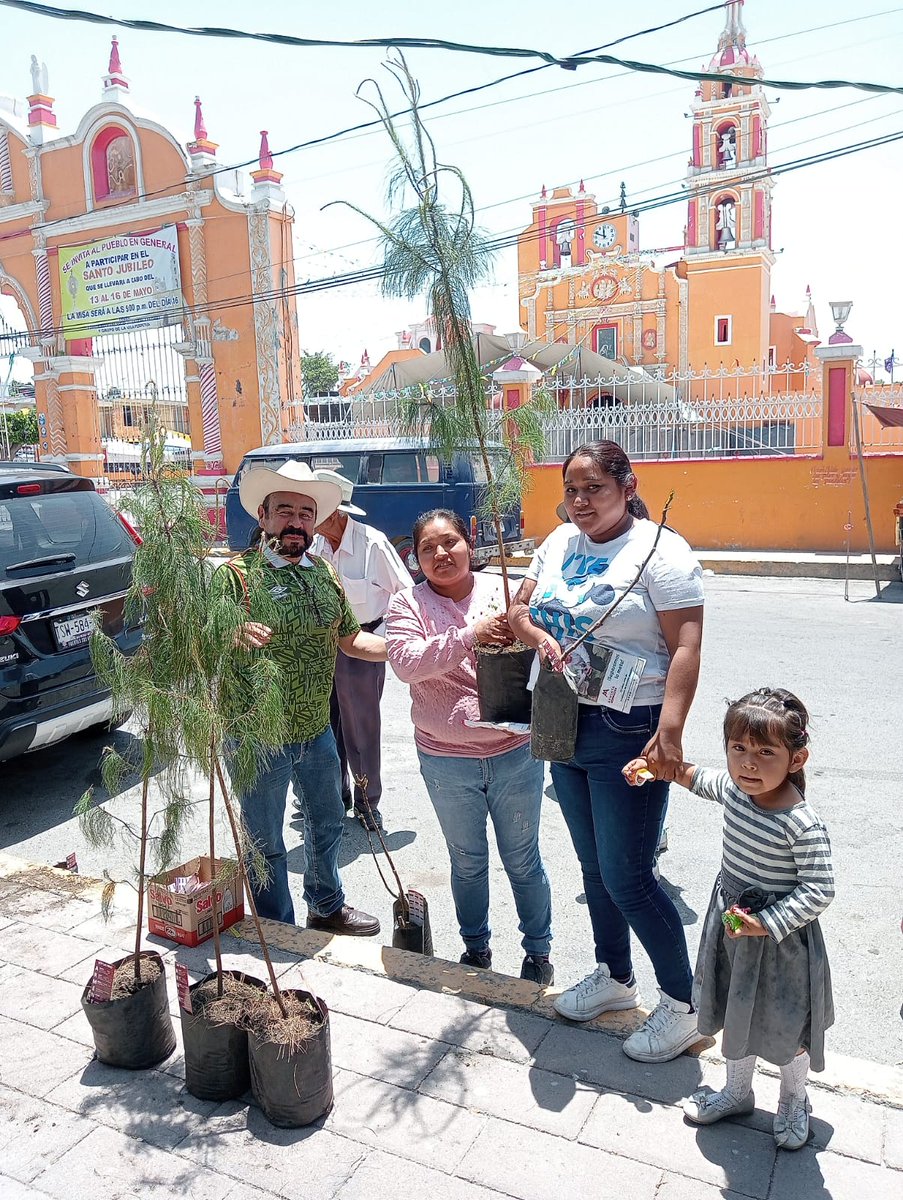 Jornada de Reforestación