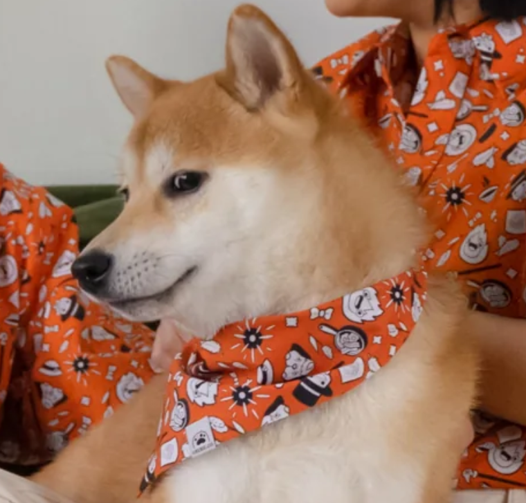 crebieco's tweet photo. when your parents force you to smile for the picture https://t.co/wvtBuR4Ehf