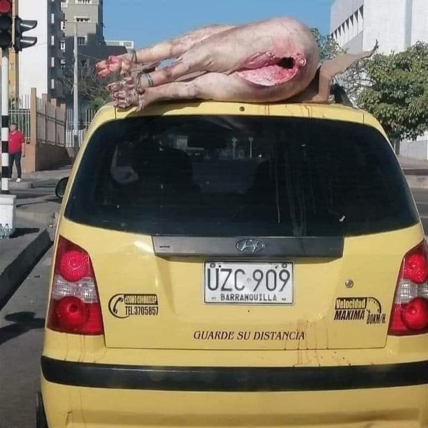 Cuídate bostero....