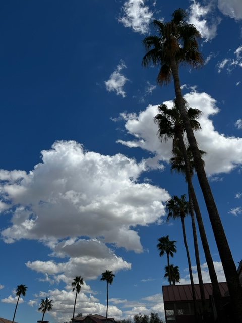 O_Files tweet picture