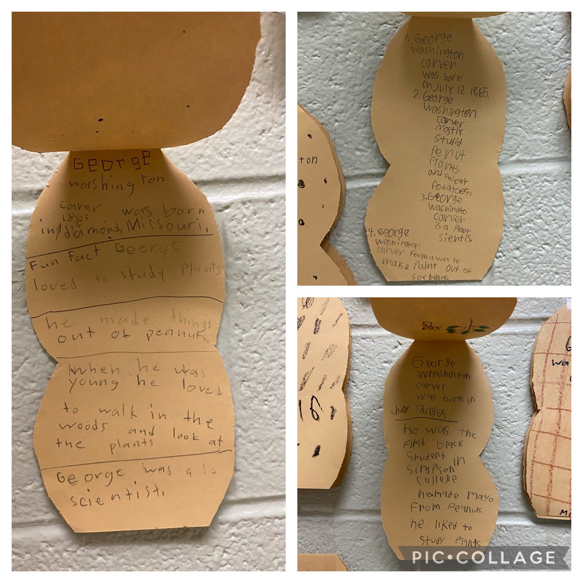 More crafts to show what we have learned about individuals that changed the lives of Americans.                               Rosa Parks and George Washington Carver.      <a href="/CRES2ndGrade/">CRESSuper2ndGrade</a> <a href="/centreridgees/">Centre Ridge Rams</a>