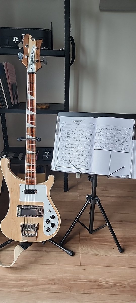 EngBassTokyo's tweet photo. What assumptions do people make of rickenbacker players? #rickenbacker #steviewonder #bassguitar https://t.co/5JWblcIqYA