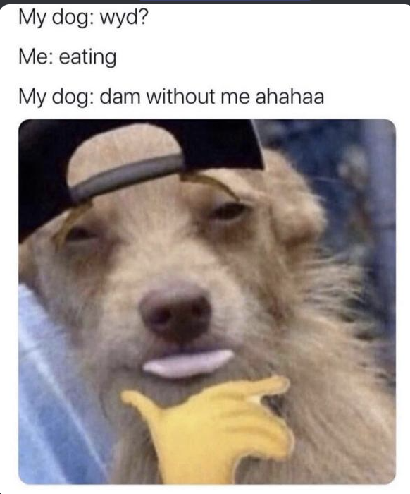 C0ttas's tweet photo. Funny Meme https://t.co/mbZ7BHdlXn