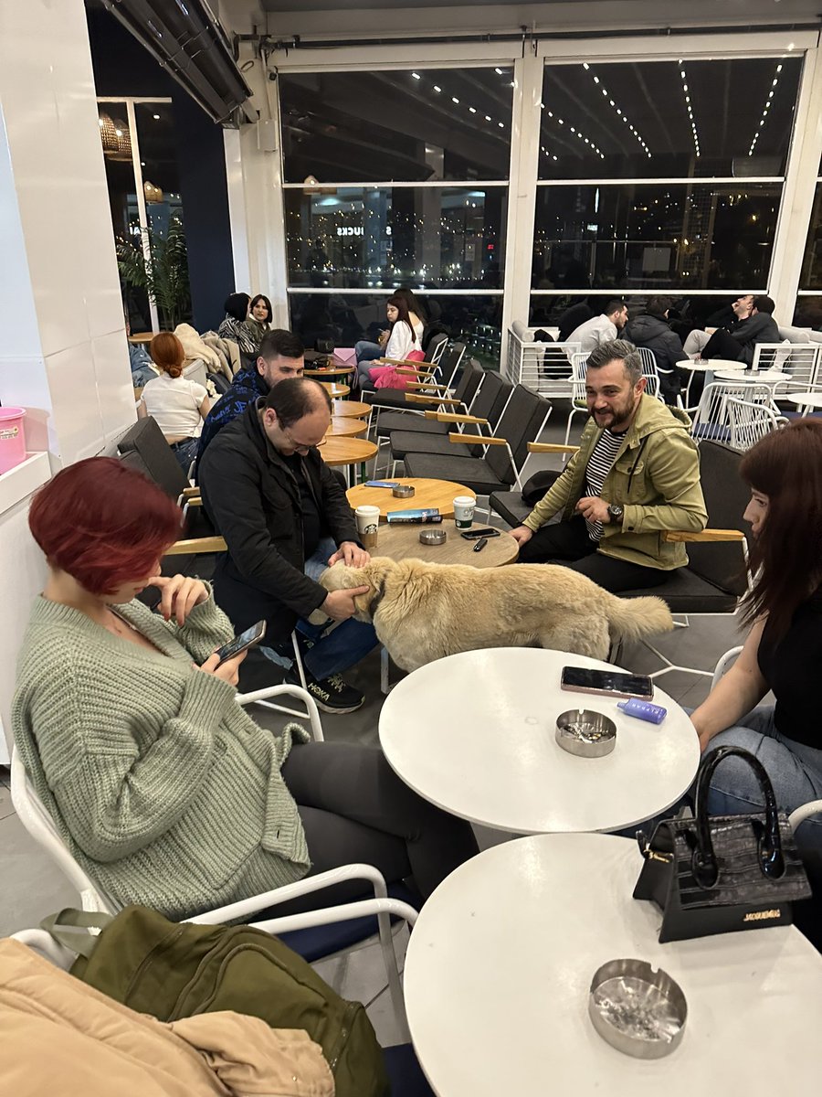 Günün son saatlerinde de genç arkadaşlarımız ile buluşmayı ihmal etmedik. 

Kahve molasında tatlı bir arkadaş da edindim.🐶😊